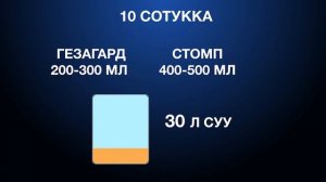 Свекла кормовая