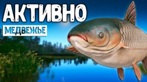 RF4 ОЧЕНЬ АКТИВНО ЕЛЕ УСПЕЕШЬ #рр4