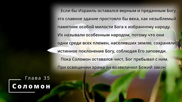 Библия по простому - гл.35 "Соломон", Книга: Дух Пророчества, т.1 - Е. Уайт. смотреть онлайн