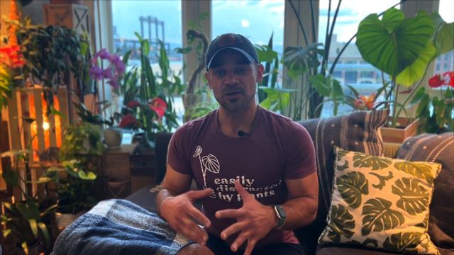 Orchid Care: How I keep my orchids happy and healthy смотреть онлайн