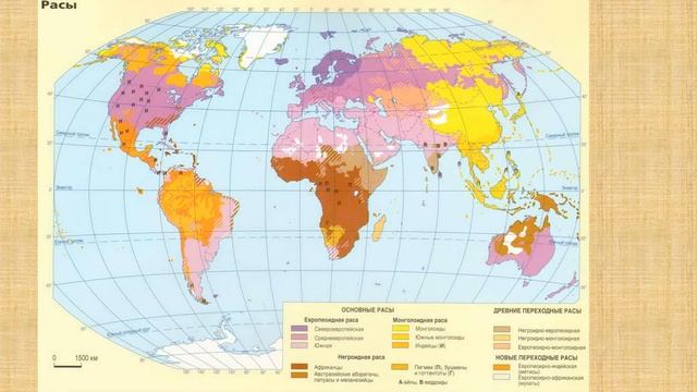Расы мира смотреть онлайн