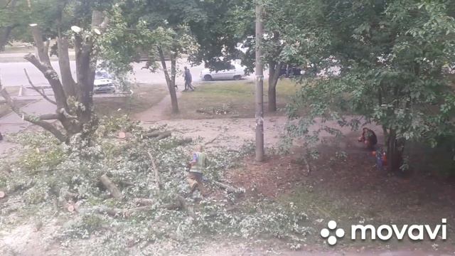 Была у стоматолога, спилили дерево под окном, вся карта Украины красная от воздушных тревог. смотреть онлайн