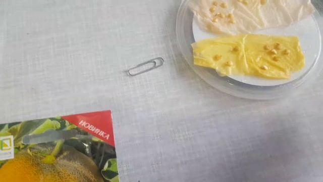 Готовимся к весне. Какие удобрения,семена и грунт.