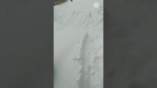 Дахшат кор ёгди теплицаларни кумиб ташлади смотреть онлайн