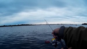 Дроп шот ловля судака 2016 год.