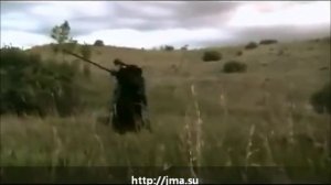 Ниндзюцу