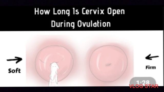 #pregnancytips смотреть онлайн