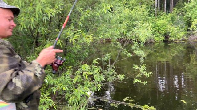 Луна, прогулка у лесного озера. смотреть онлайн