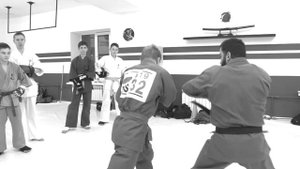 Кудо. Сайд степ ( sidesteps )/мастер-класс Эдгара Коляна/.