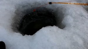 Рыбалка на Зее. Рыбалка в Благовещенске. Рыбалка на Чебака и Пескаря.