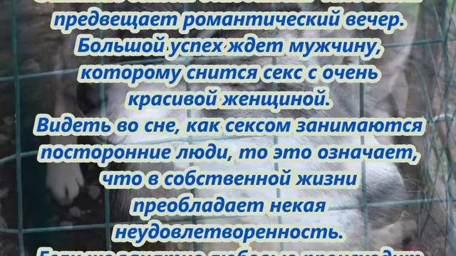 К чему снится заниматься любовью смотреть онлайн