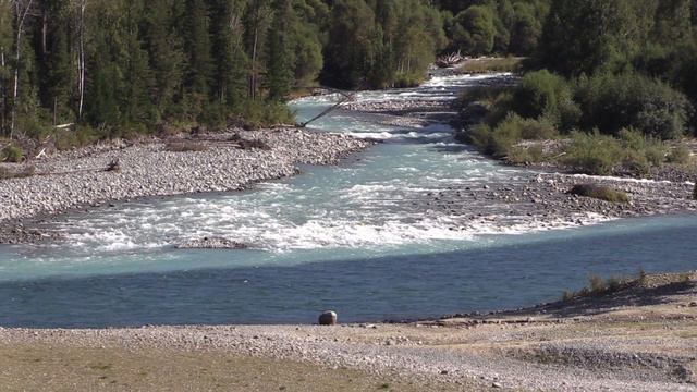 Слияние рек Катуни и Кучерла. Горный Алтай. Confluence of the Katun and Kucherla rivers. Altai. смотреть онлайн