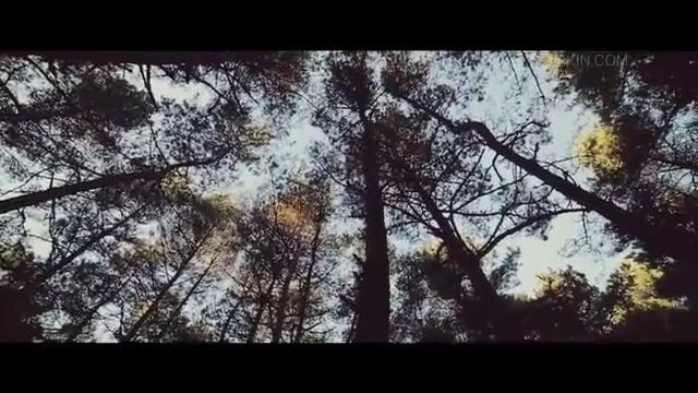 Национальный парк "Куршская коса" Танцующий лес смотреть онлайн