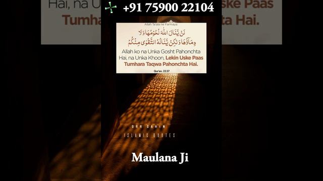 Conatact With Maulana Ji For Wazifa - Dua - Istikhara - Love Marriage Specialist Maulana Ji