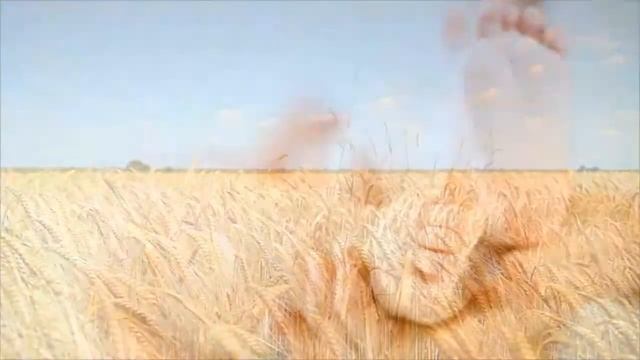 Царю Небесный - Heavenly Father смотреть онлайн