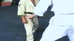 Тренировка по системе Н. А. Шеменьова