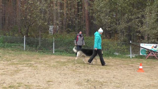 ЛР ГВИДОН ПРК -. Рядовость