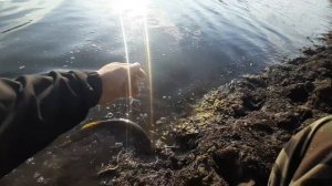 ловля щуки осенью. Рыбалка 2023