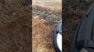 Как избавиться от свиста (скрипа) обводного (приводного) ремня.