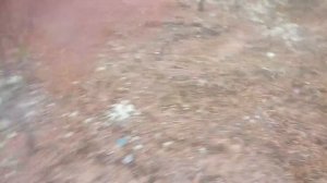 ОБНАРУЖИЛ АСФАЛЬТОВЫЙ ЗАВОД В ТАЙГЕ ⚡ МЕТАЛОКОП В ДИКОЙ ТАЙГЕ ⚡ ТЯЖЕЛЫЕ НАХОДКИ