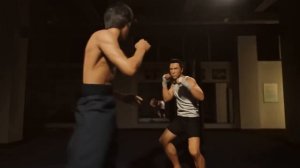 Донни Йен VS брюс ли