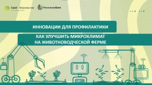 Инновации для профилактики: как улучшить микроклимат на животноводческой ферме