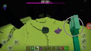 История странника края