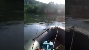 Лодка ПВХ Лидер Тайга 340 под плм Ветерок 12