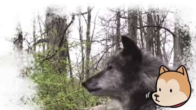 Дихальна гімнастика 