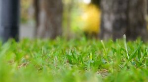 ПОКОРНАЯ ТЕЩА l ЛЮБОВНЫЕ ИСТОРИИ. АУДИО РАССКАЗ.