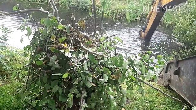 Как почистить домашний пруд от ила