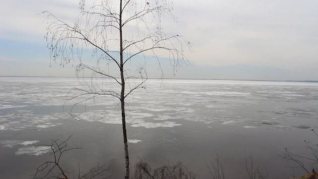Церковь Воздвижения Креста Господня в Климотино