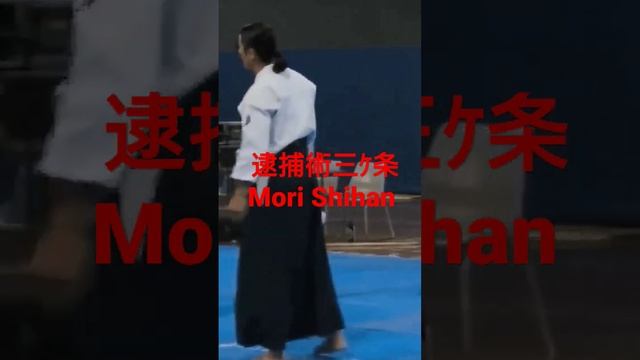 Mori Shihan「逮捕術三ｹ条」森師範 [ Police technique Sankajo ] Aikido Yoshinkan Brisbane Dojo 合氣道養神館豪州道場