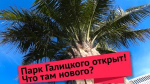 Влог #50. Парк Галицкого в Краснодаре открыт. Режим карантина продолжается