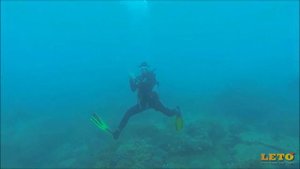 Дайвинг в Нячанге