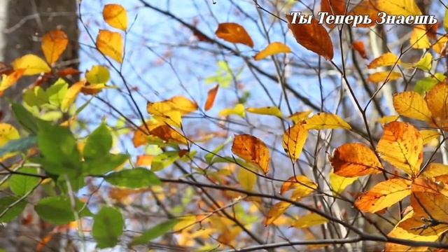12 Сентября ЗАПРЕТЫ. Что Нельзя Делать в Этот День.