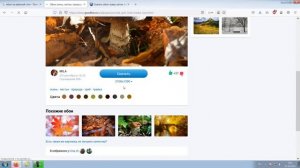 Как сменить обои в компьютере, ноутбуке на рабочем столе Windows 7, 8, 10, 11, XP.Поменять заставку