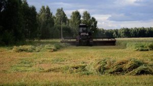Работа самоходной косилки "Полесье" (УЭС 2-280 с жаткой ЖВЗ-9У) на зерносмеси