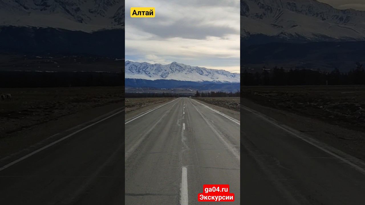 Курайская степь. Алтай