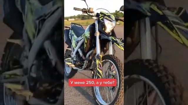 Лось 250сс