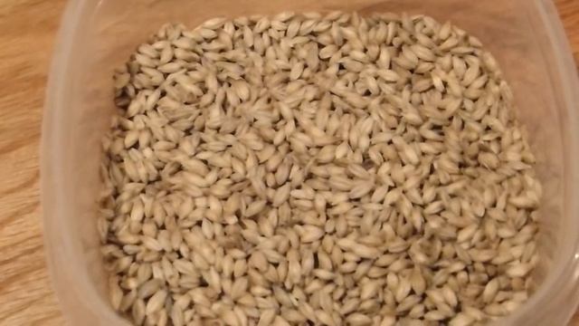 The Daily Grind #163 Bad Case of the Mondays смотреть онлайн