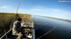 ЖОР САЗАНА, ПРЁТ КОРМУШКУ ВМЕСТЕ С ГРУЗОМ. Рыбалка на ФИДЕР. МНОГО САЗАНА но он весь МЕЛКИЙ!
