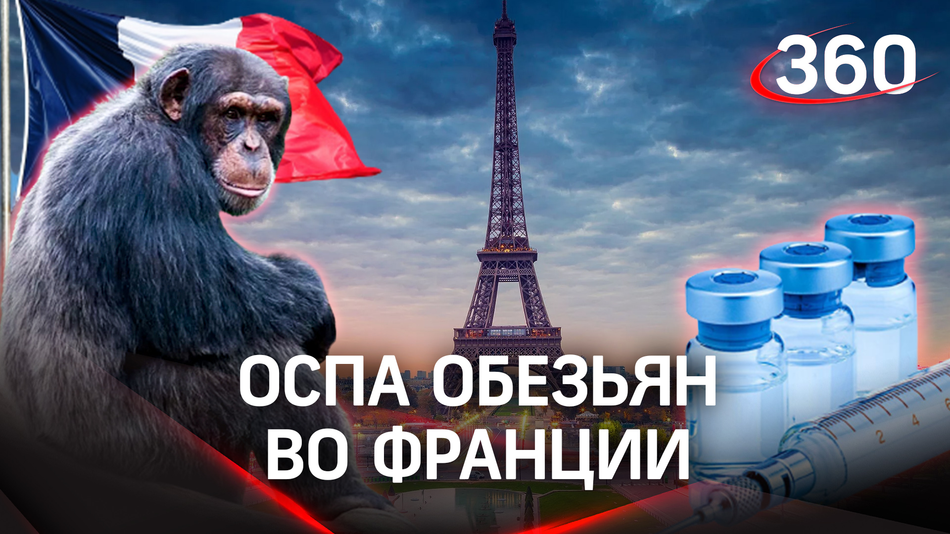 Оспа обезьян во Франции: 16 случаев заражения инфекцией в стране