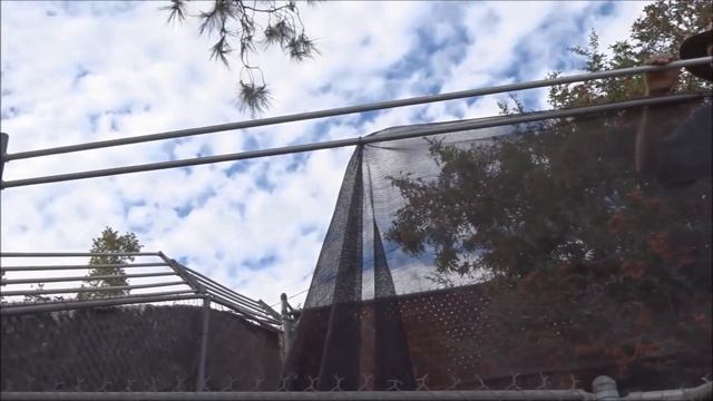 Coyote Deterrent DIY Roll bar fence Cheap low maintenance Keep Your Dogs, Chickens and Pets Safe. смотреть онлайн