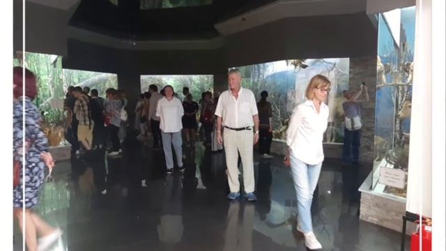 Туристический маршрут "Жемчужина Кавказа". Национальный музей Республики Адыгея. 19 06 2022 г. смотреть онлайн