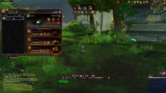 400th pet WoW смотреть онлайн