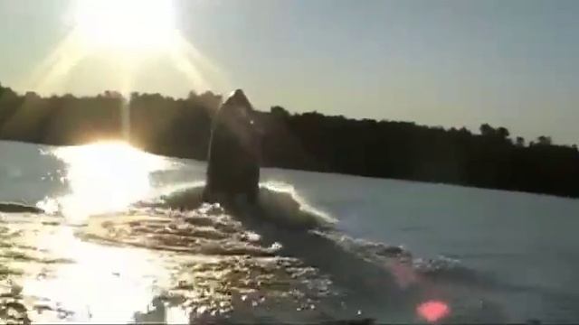 Трюки на моторно смотреть онлайн