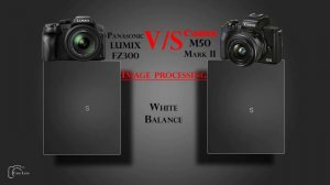 Panasonic LUMIX FZ300 vs Canon M50 Mark II