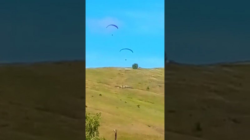 Вот я надену два Крыла...