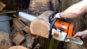 stihl ms 260 chainsaw